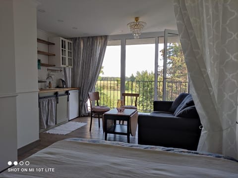 View (from property/room), Balcony/Terrace, Living room, Photo of the whole room, Seating area