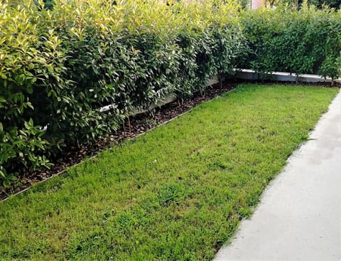 Cà Maurizio garden Venezia Apartment in Venice