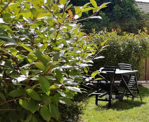 Cà Maurizio garden Venezia Apartment in Venice