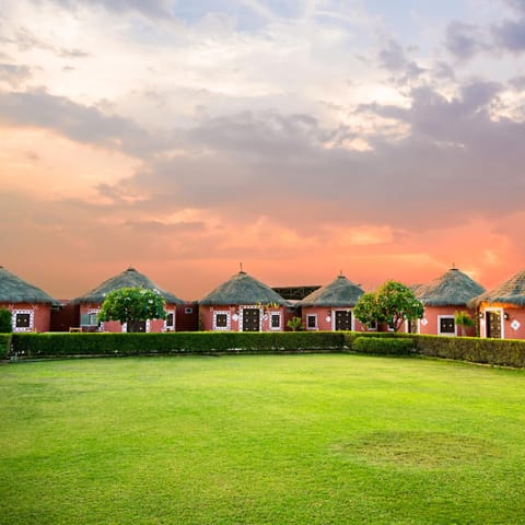 Natural landscape, Garden, Garden view, Sunset