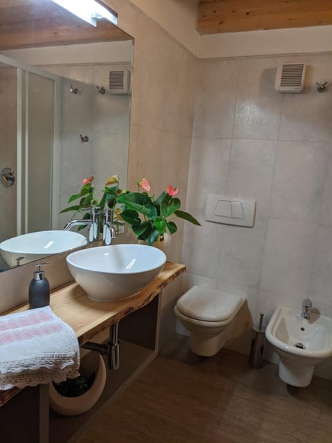 Casa Ofi Apartment in Ledro