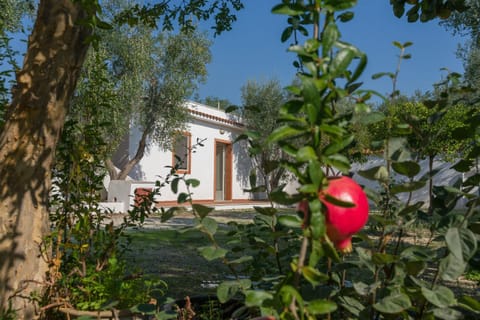 Property building, Garden, Garden view