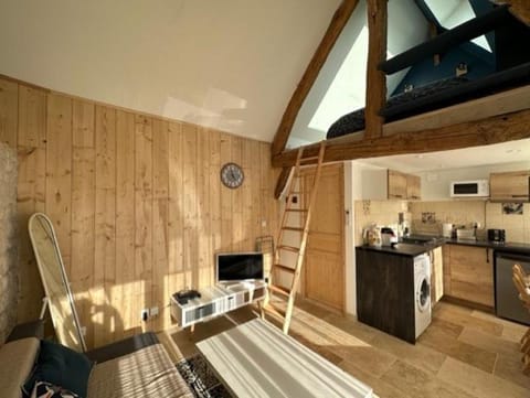 TV and multimedia, Kitchen or kitchenette, Living room, minibar, stove, toaster, washing machine