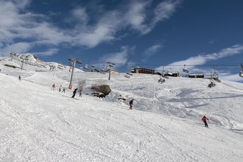 Day, Winter, Skiing, group of guests