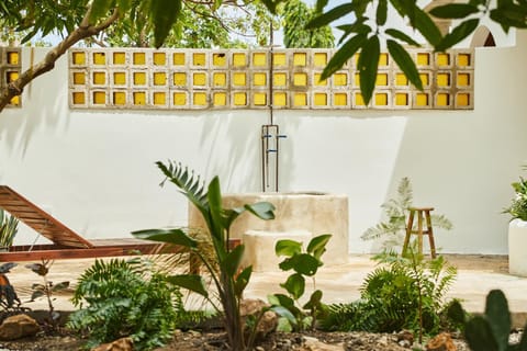 Patio, Garden