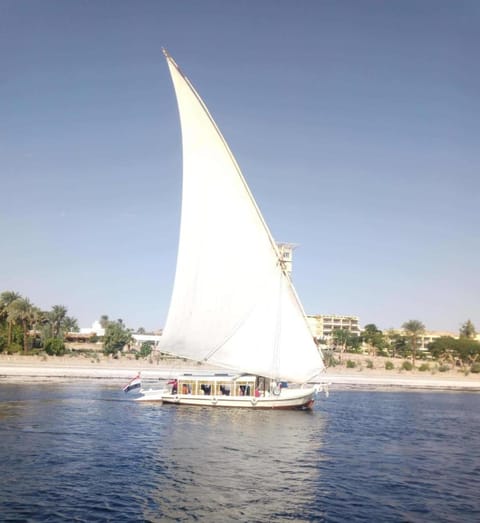 Day, People, Natural landscape, Activities, Beach, Lake view, River view, Sea view, group of guests