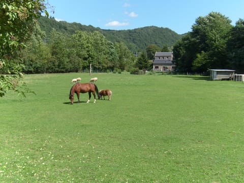 Natural landscape