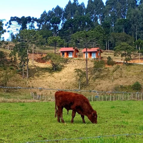 Natural landscape