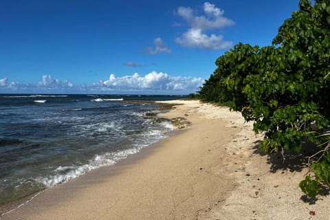 Nearby landmark, Day, Natural landscape, Beach, Sea view