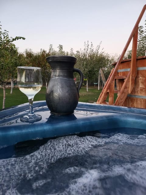 Hot Tub, Hot Tub, Garden view