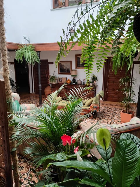 Patio, Inner courtyard view