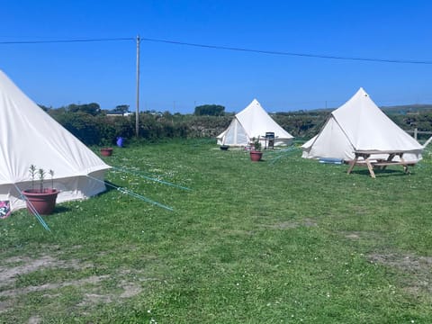 Dollys Den bell tent Campground/
RV Resort in England