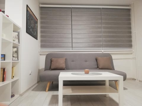 Quince Apartment in Serbia