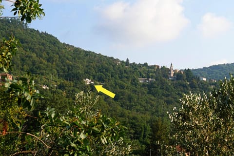 Neighbourhood, Natural landscape