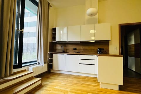Kitchen or kitchenette, minibar, pet friendly, stove