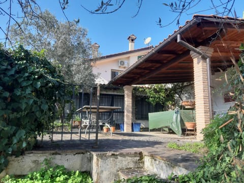 Patio, Garden, Balcony/Terrace