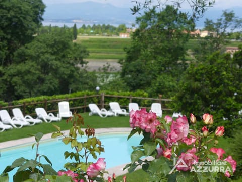 Spring, Garden, Pool view, Swimming pool, sunbed