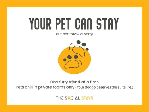 Pets, Pets, pet friendly, pet friendly