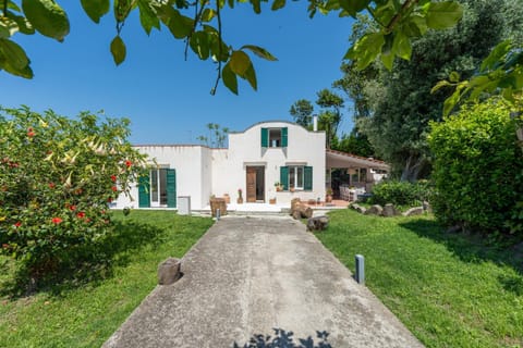 Property building, Spring, Day, Natural landscape, Garden, Garden view