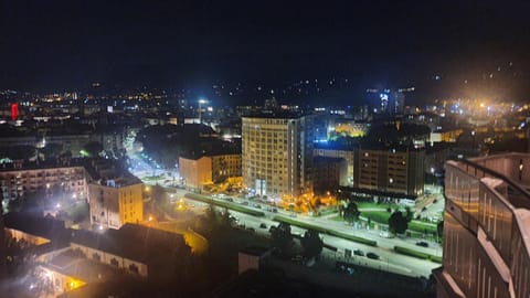 View (from property/room), City view