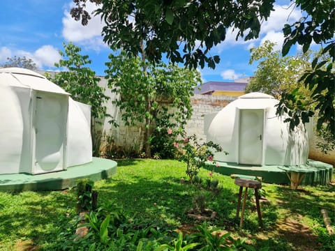 Day, Garden, Garden view