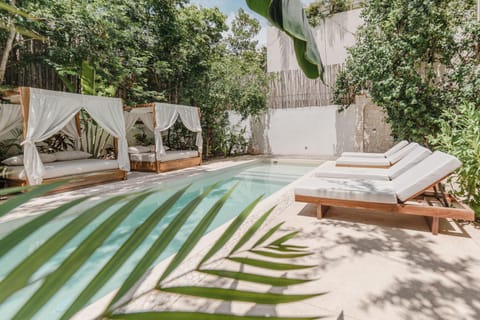 Patio, Spring, Day, Garden, Garden view, Pool view, Swimming pool, sunbed