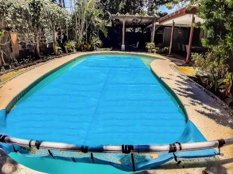 Garden, Garden view, Swimming pool