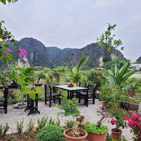Garden, Mountain view