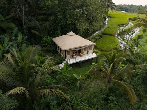 Nadi Nature Resort - Adults Only Luxury tent in Marga
