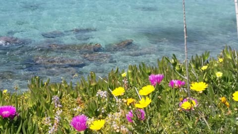 Natural landscape