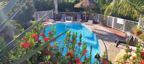 Natural landscape, Garden view, Swimming pool, sunbed
