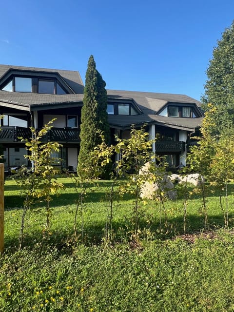 Property building, Garden, Garden view