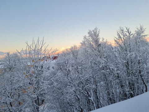 36 sqm Studio aparatment B Apartment in Tromso