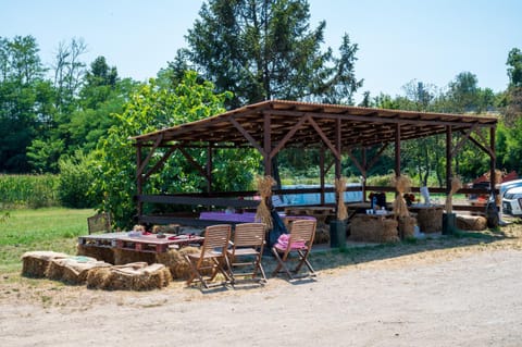 Natural landscape, Garden view