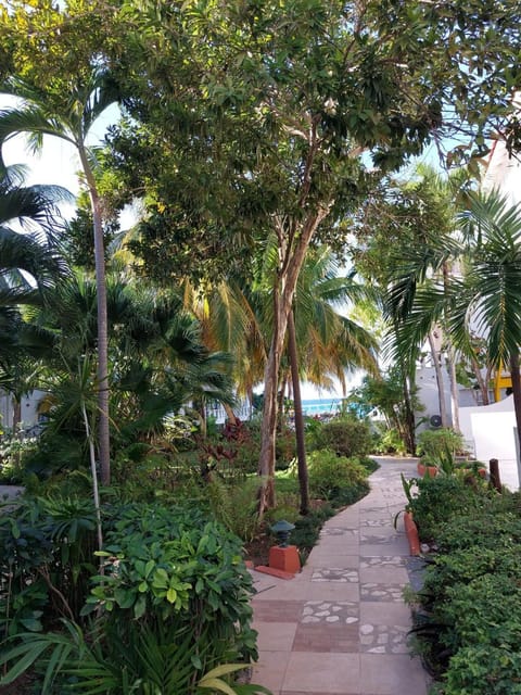 Natural landscape, Garden view