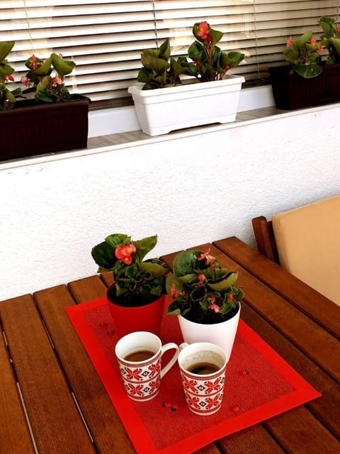 Voska Apartment Apartment in Ohrid