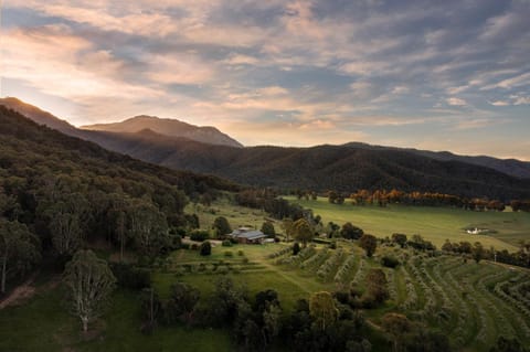 Nearby landmark, Spring, Natural landscape, Bird's eye view, Garden, Mountain view, Sunset