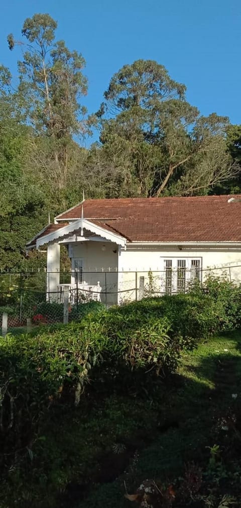 Property building, Spring, Day, Garden, Garden view