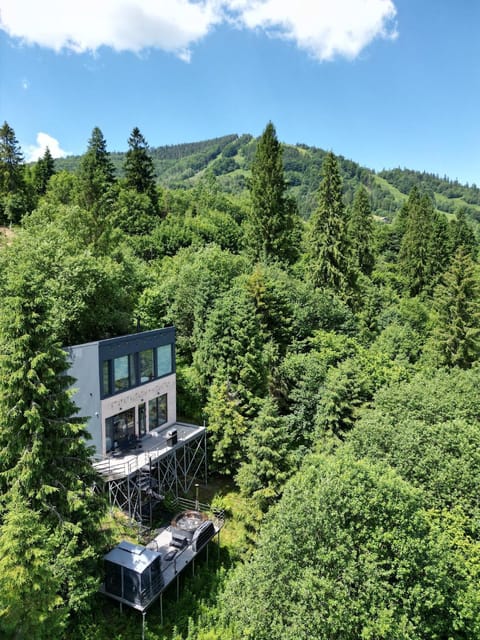 Property building, Day