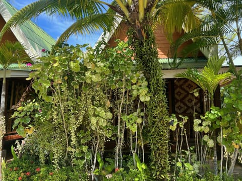 Natural landscape, Garden, Garden view