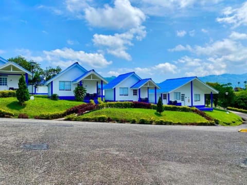 Property building, Garden view