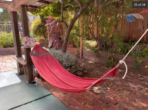 Day, Garden, Garden view