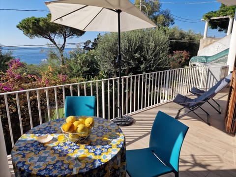 Balcony/Terrace, Balcony/Terrace