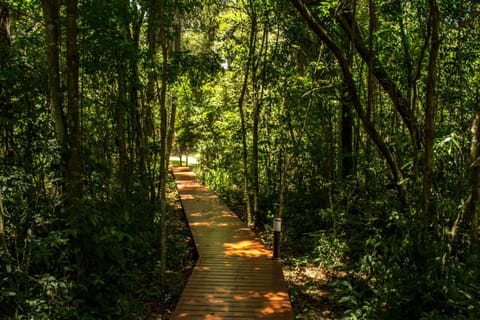 Natural landscape