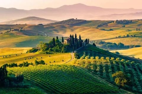 Natural landscape