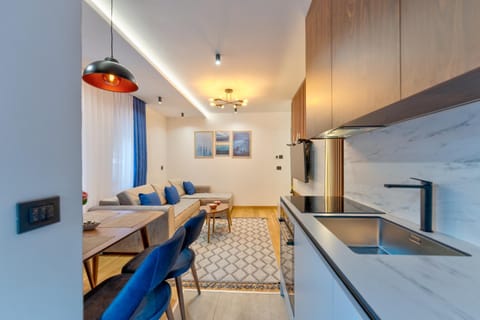 Silver sky 11 Apartment in Zlatibor