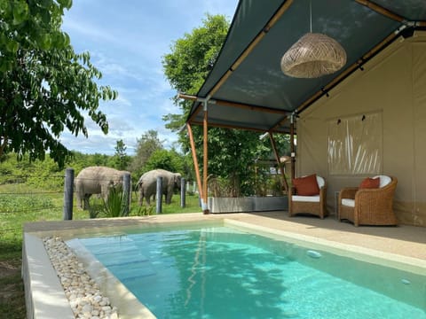 Pool view, Swimming pool