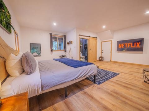 Bed, Living room, Photo of the whole room, Seating area, Bedroom