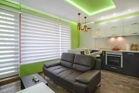 Kitchen or kitchenette, Living room, Seating area, Dining area, pet friendly, stove