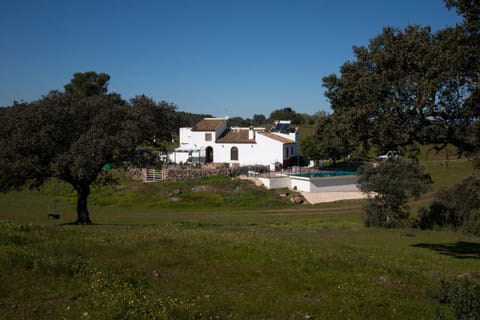 Property building, Day, Natural landscape